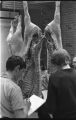 Students in a meat grading class taught by Jay Meiske in the Andrew Boss Laboratory of Meat Science, University of Minnesota St. Paul campus.