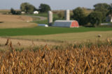 Dairy farms in Wabasha County, near the bluffs overlooking Lake Pepin.