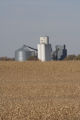 Truman, Minnesota grain elevator and corn fields in Martin County.