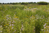 Alternative crops and plants in Midwest cropping systems.