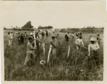 Chinese at work cutting barbed wire.