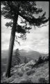 Northern California