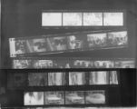 Negative contact sheet
