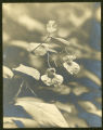Impatiens aurella