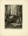 Woodland scene