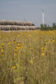 Biomass and wind power, alternative energy research at the University of Minnesota, West Central Research and Outreach Center, Morris.