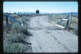 Cattle Guard