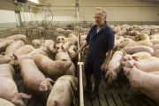 Swine farm with geothermal heating and cooling, the first in the U.S.