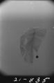 Flight 21 image 835
