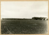 Farmhouse with grove
