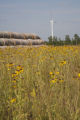 Biomass and wind power, alternative energy research at the University of Minnesota, West Central Research and Outreach Center, Morris.