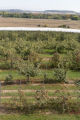 Apple Junction orchard in Washington County, Minnesota.