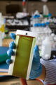 Enzyme engineering and nanotechnology. Research of biofuel biopolymers and specialty chemicals. Development of self-cleaning coatings.
