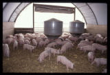 Hoop Barn. Mark Moulton. Rush City, Minnesota