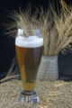 "MnBRITE" barley variety, released 1998
