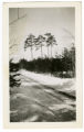 View of the Four Pines site, looking west from Sawyer Rd towards Kattmann Rd