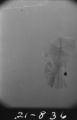 Flight 21 image 836
