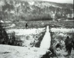 Action shot of UMD 1956 skier doing a jump during a tournament