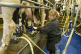 Organic dairying and rotational grazing research by Dennis G. Johnson, University of Minnesota West Central Research and Outreach Center, Morris.