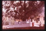 Plant and man slides Lectures 28-30. Alwis.