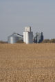 Truman, Minnesota grain elevator and corn fields in Martin County.