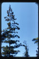 Southeast of Mount Hood, Oregon