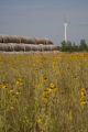 Biomass and wind power, alternative energy research at the University of Minnesota, West Central Research and Outreach Center, Morris.