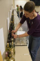 Second annual International Cold Climate Wine Competition. St. Paul, Minnesota.