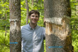Tony D'Amato, University of Minnesota forest ecologist