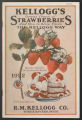 Kellogg's Great Crops of Strawberries, 1922