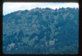 View North Northeast of burnt South face of Neahkahine Mountain where Elk graze
