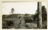 Fire break with brush piled for burning