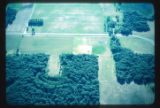 Mickelson Old Field from 800 feet above ground