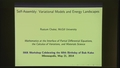 Self-Assembly: Variational Models and Energy Landscapes