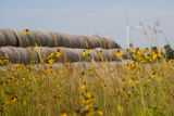 Biomass and wind power, alternative energy research at the University of Minnesota, West Central Research and Outreach Center, Morris.