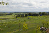Tug Hill Vineyard, Lowville, New York.
