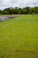 Sod farm near Crookston, Minnesota.