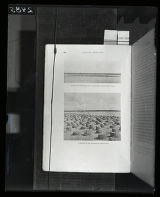 Flamingo nests, image from Frank M. Chapman, "Camps and Cruises of an Ornithologist"