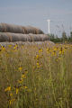 Biomass and wind power, alternative energy research at the University of Minnesota, West Central Research and Outreach Center, Morris.