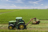 Cutting alfalfa field,in Stearns County, Minnesota.