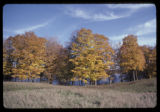 Carver County, 1981.