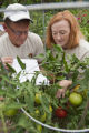 Biochar research, Julie Weisenhorn (horticulture) and Jason Hill (Bioproducts and Biosystems Engineering).