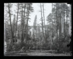 East arm of Lake Itasca looking North from bluff at South end