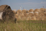 Biomass and wind power, alternative energy research at the University of Minnesota, West Central Research and Outreach Center, Morris.