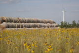 Biomass and wind power, alternative energy research at the University of Minnesota, West Central Research and Outreach Center, Morris.