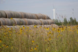 Biomass and wind power, alternative energy research at the University of Minnesota, West Central Research and Outreach Center, Morris.