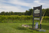 Lincoln Peak Vineyard and Winery, New Haven, Vermont.