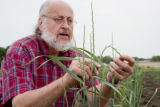Donald Wyse, Department of Agronomy and Plant Genetics.