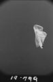 Flight 19 image 799