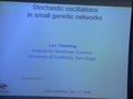 Stochastic oscillations in small genetic networks